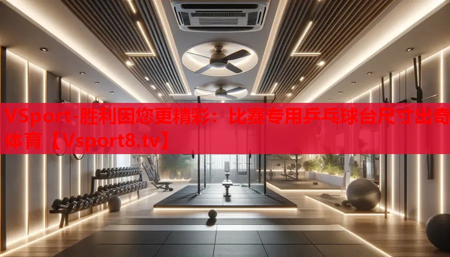 VSport-勝利因您更精彩：比賽專(zhuān)用乒乓球臺(tái)尺寸出奇體育