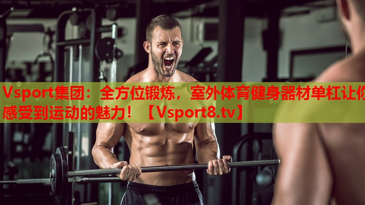 Vsport集團：全方位鍛煉，室外體育健身器材單杠讓你感受到運動的魅力！