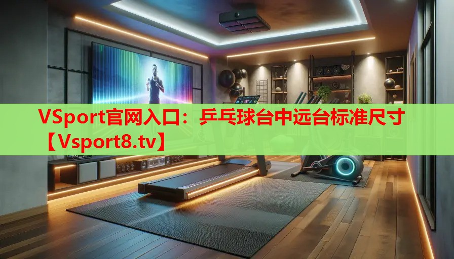 乒乓球臺中遠臺標(biāo)準(zhǔn)尺寸