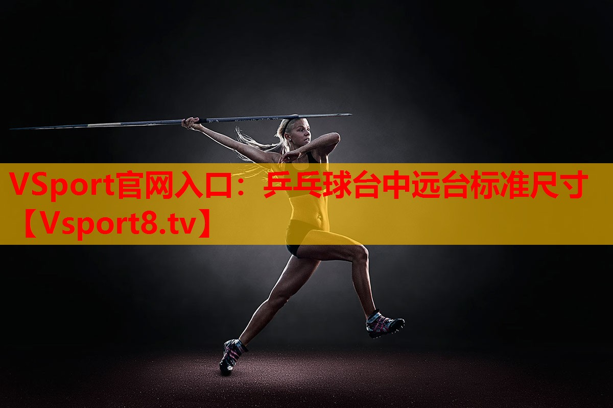 乒乓球臺中遠臺標(biāo)準(zhǔn)尺寸